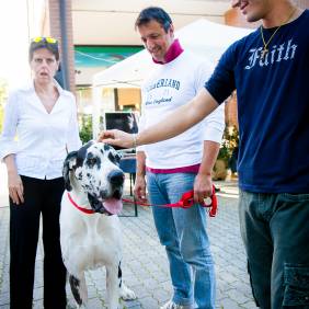 _MG_6439.jpg