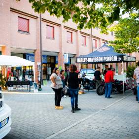 _MG_6440.jpg