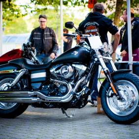 _MG_6459.jpg